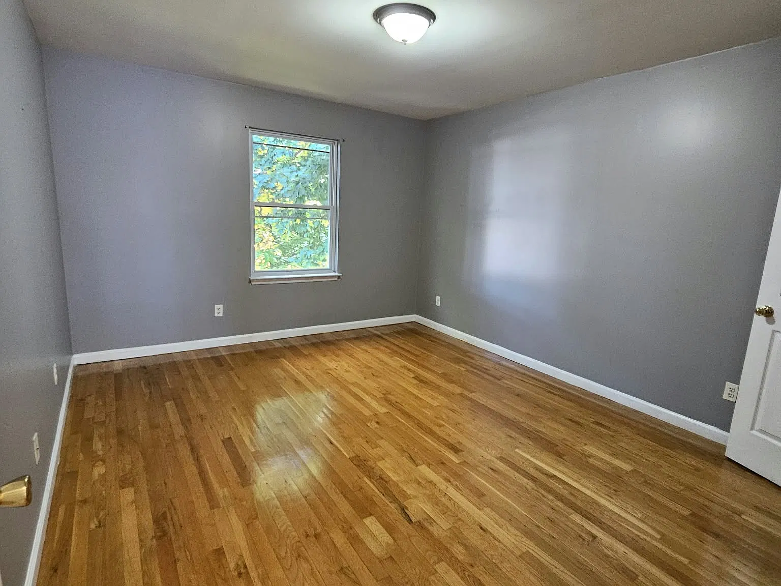 3 bed, $2,795 — Photo 2