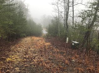 146 Black Bear Rdg, Jasper, GA 30143