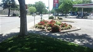 4th image of 1220 La Loma Ave APT 10