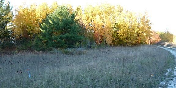 5th image of 0 N Lake Leelanau Dr