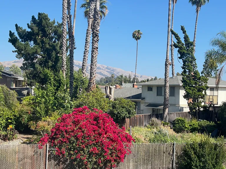 40268 Santa Teresa Cmn — Photo 23