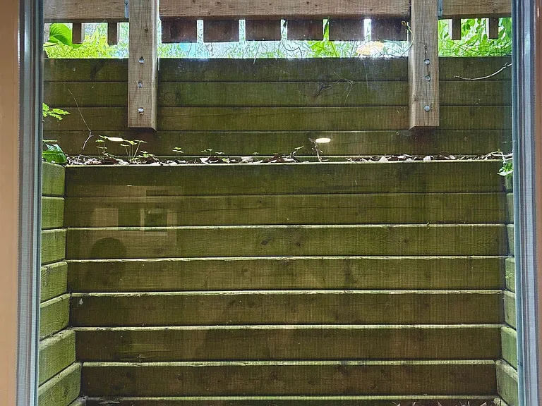764 Gorham St #BASEMENT — Photo 15