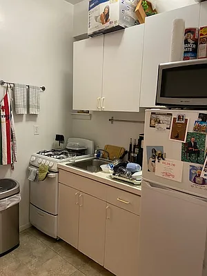 Rented by Manhattan Flats | media 19