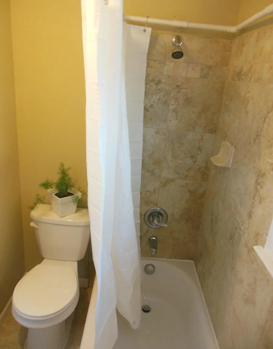 2 bed, $1,250 — Photo 4