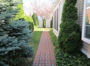 Invitation to the Backyard