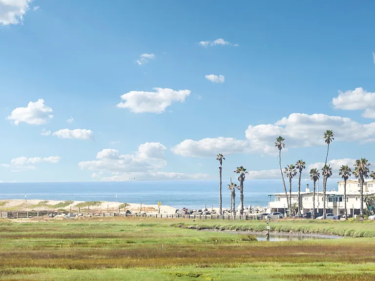 Imperial Beach Gardens — Photo 18