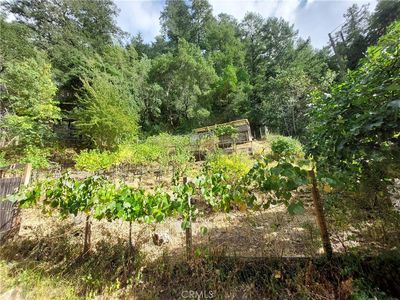 0 Candelero Ave #12, Forest Knolls, CA, 94933