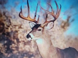 80 ACRES COUNTY ROAD I, Rosholt, WI 54473