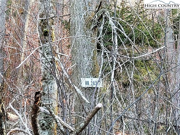 5th image of 133 Wild Daisy Lane