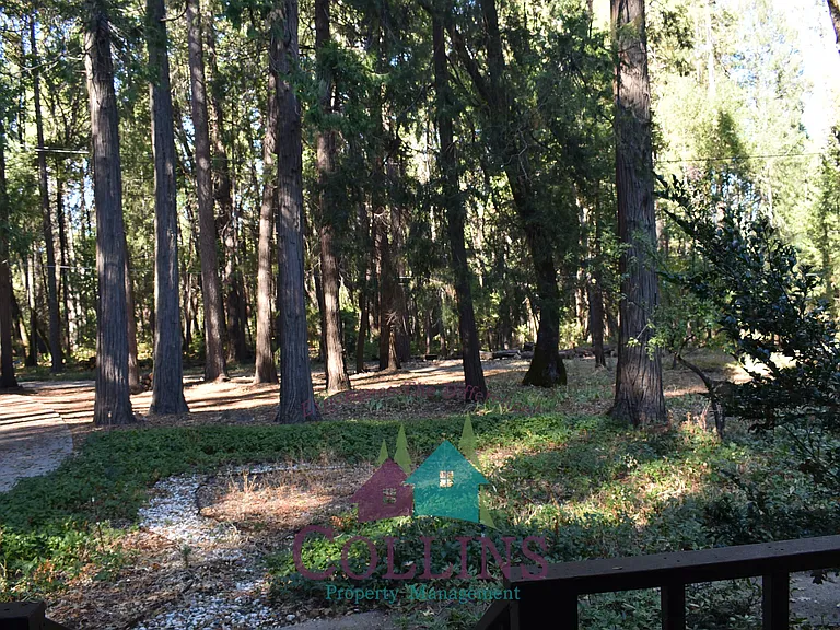 11071 Cedar Ridge Dr — Photo 17