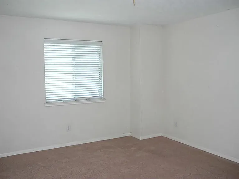 5435 Carta Valley Ln — Photo 9