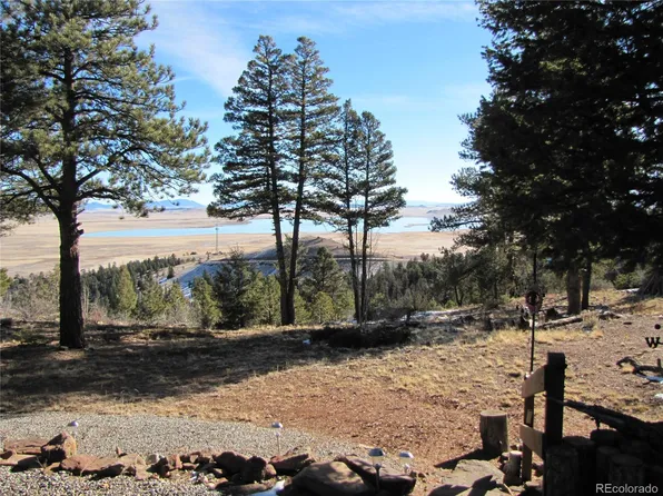 73 Spike Way, Hartsel, CO 80449
