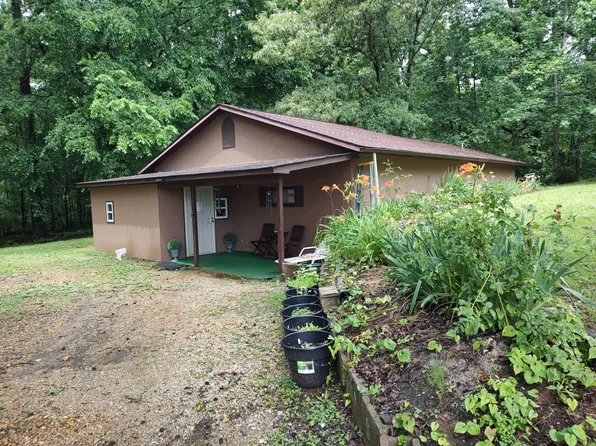 44 Antioch Cove Rd, Springville, TN 38256