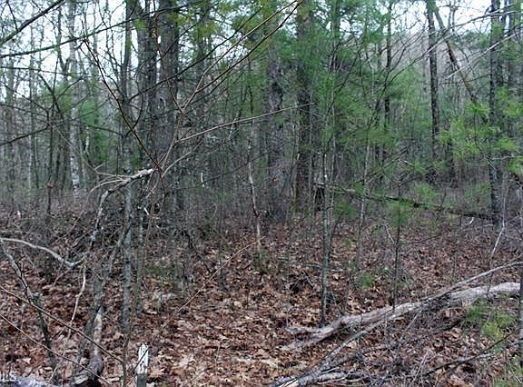 5th image of 0 Booger Hollow Trl