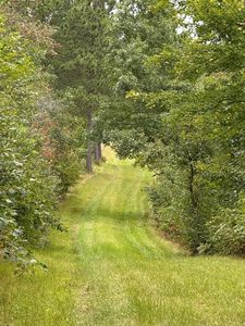 31455 Nagel Rd, Pequot Lakes, MN, 56472