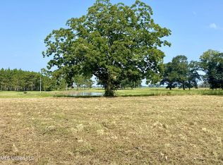 Nhn Paramount Church Rd, Perkinston, MS 39573