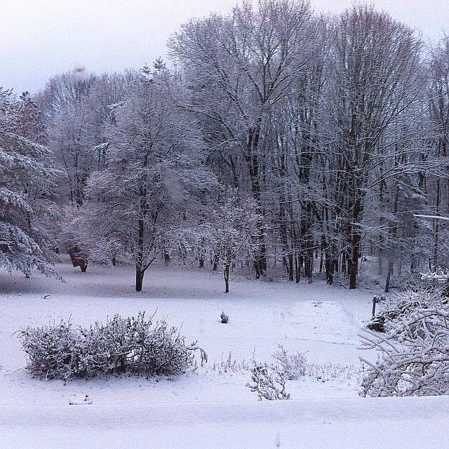 2nd image of 982 Beekman Rd