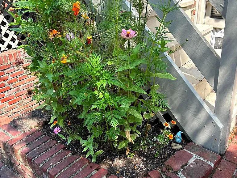 511 Wilkes St — Photo 3