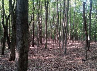 Chautauqua Rd, Fredonia, NY 14063