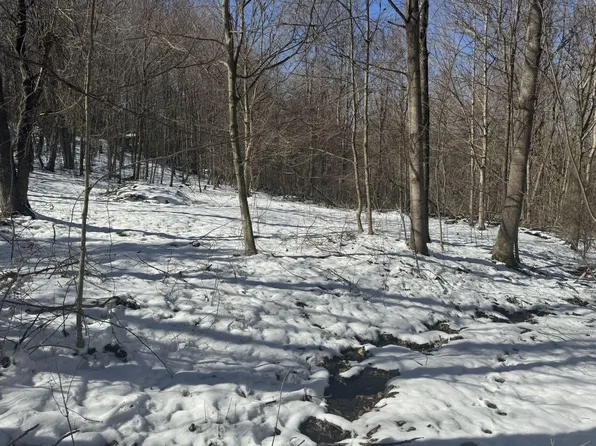 1145 Chestnut Ridge Rd, Moatsville, WV 26405