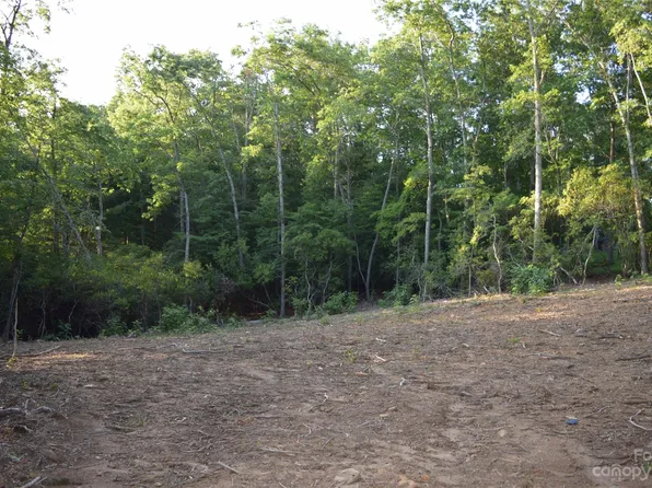 Lots 4&5 Carters Ridge Rd, Spruce Pine, NC 28777