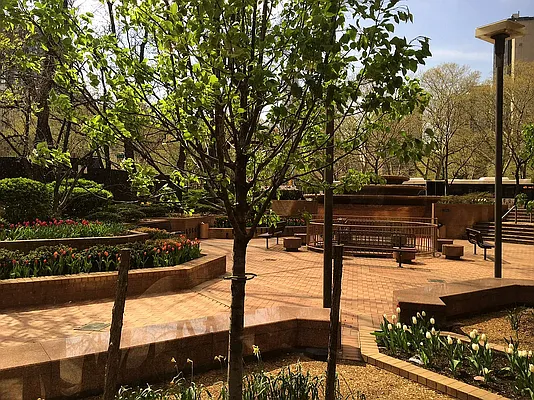 Rented by Douglas Elliman | media 10