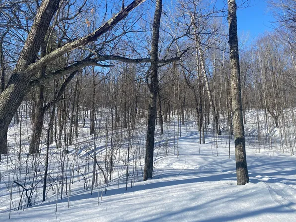 W Chub Lake Rd, Carlton, MN 55718