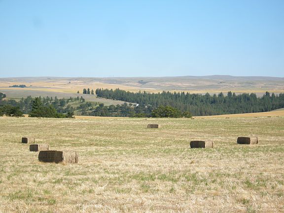 2014 barley hay, 100 ton