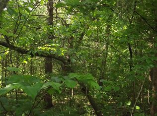 38-39 Forty Lake Rd, Shell Knob, MO 65747