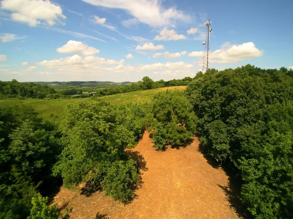 1730 Lavender Rd, Thompsons Station, TN 37179
