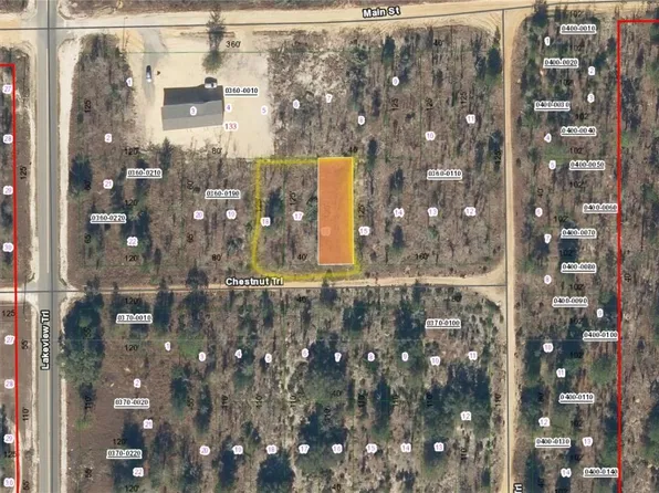 Chestnut Trl #16, Interlachen, FL 32148