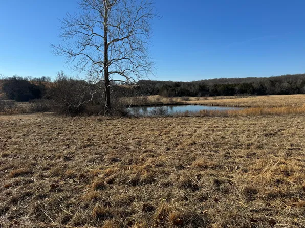 000 State Hwy Tt, Falcon, MO 65470