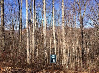 16 Skyview Dr, Hayesville, NC 28904