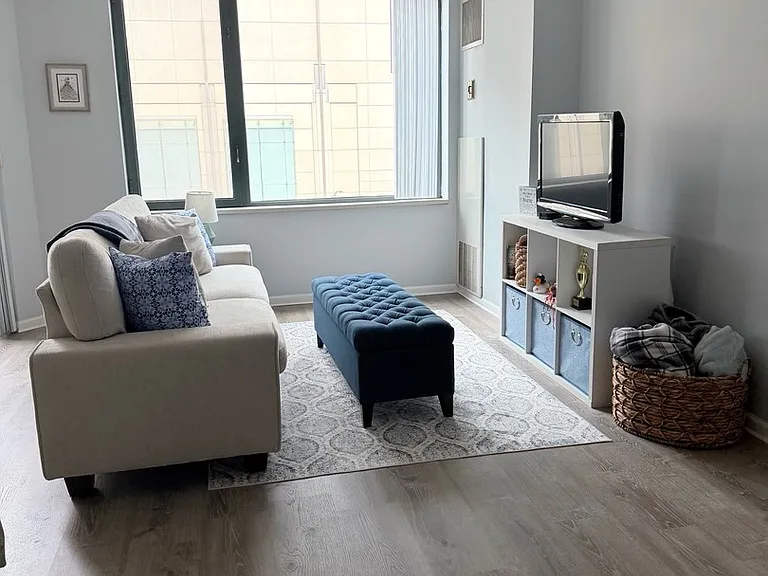 480 N McClurg Ct #618 — Photo 6