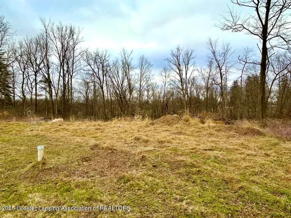 0 Spaulding Ct, Bellevue, MI 49021