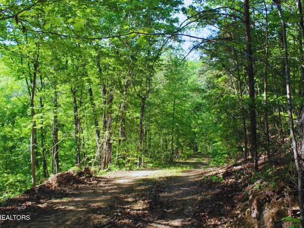 425 Smokey Rd, Rutledge, TN 37861