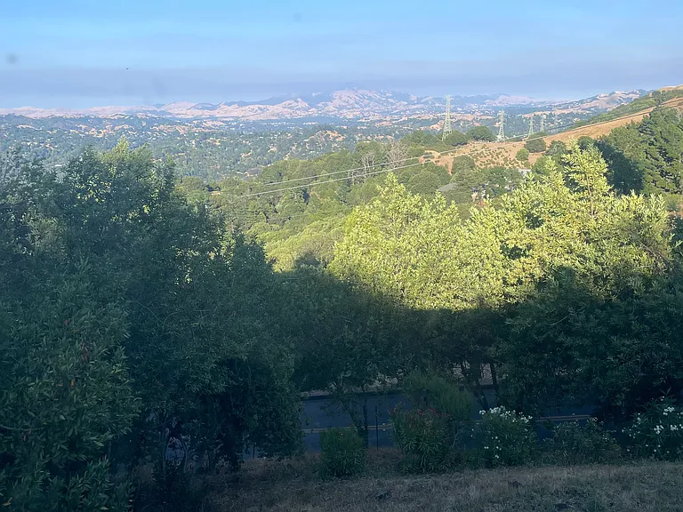 View from Living Room.