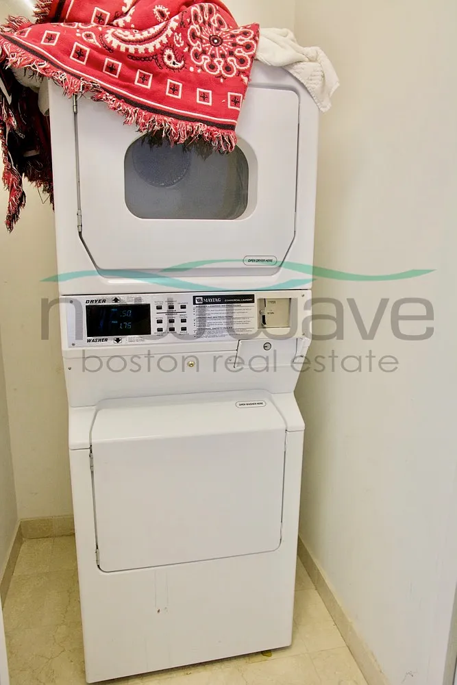 1 bed, 600 sqft, $3,000 — Photo 3