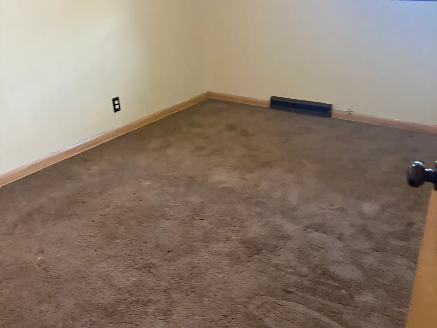 3 bed, 800 sqft, $1,500 — Photo 2