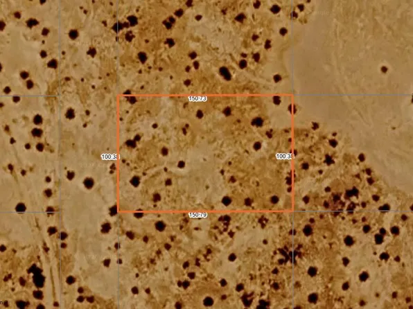 AP53917038 Ave 64A -- #1994, Dateland, AZ 85333