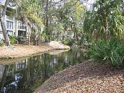 View from Deck looking right