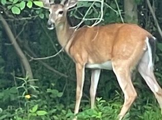 20554 Tennis Rd, Hillman, MI 49746