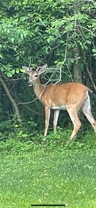 20554 Tennis Rd, Hillman, MI, 49746