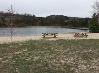 9728 Grandview Dr, Wolverine, MI 49799