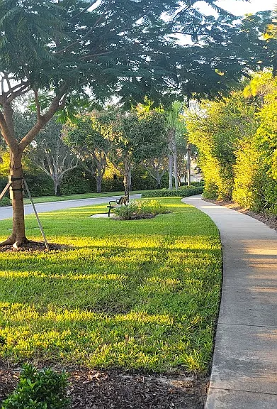 Community Path.
