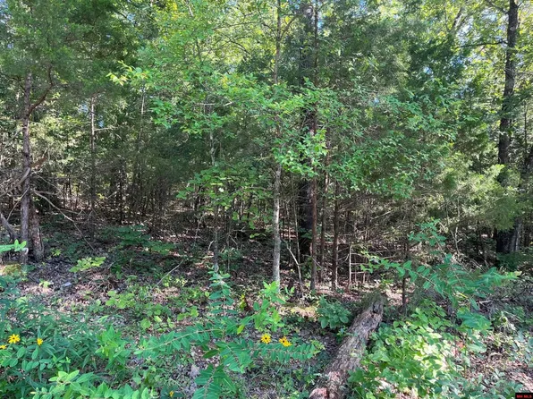 45 Hourglass Dr, Midway, AR 72651