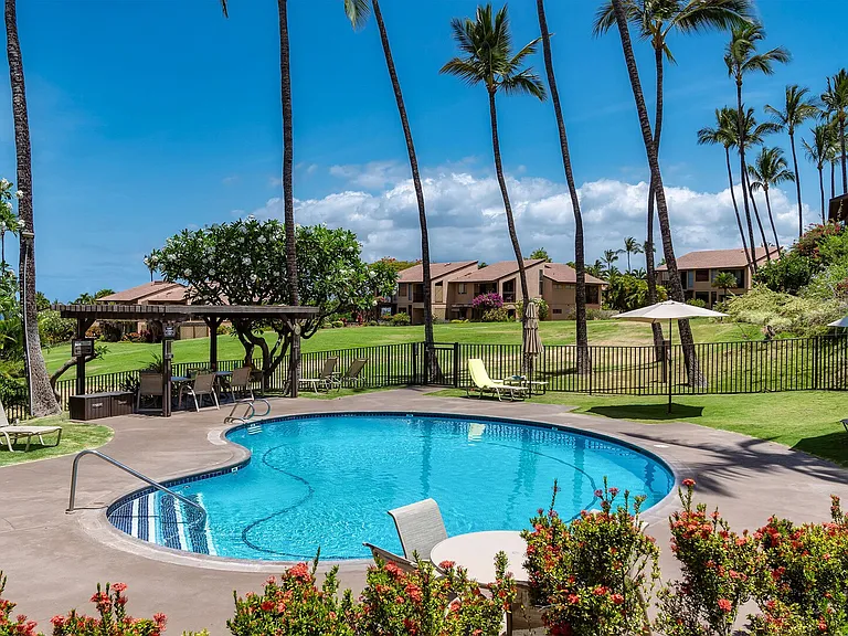 Wailea Alanui Dr — Photo 36