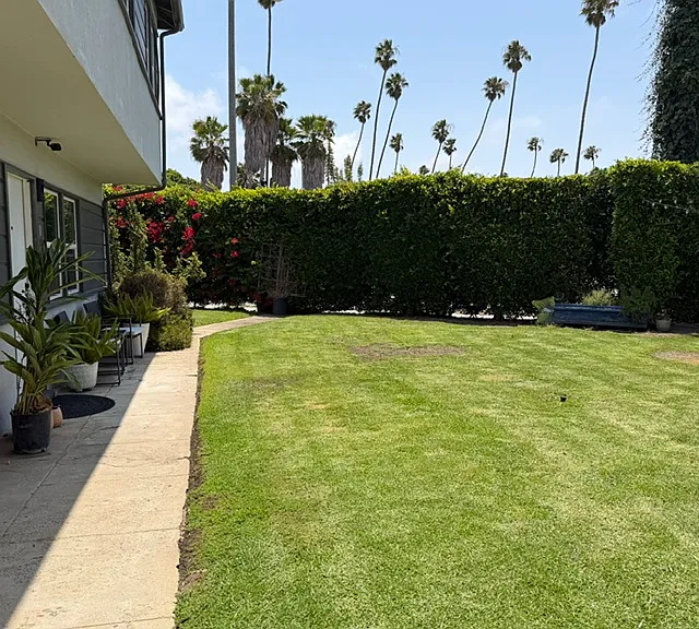 805 Venice Blvd #6 — Photo 15