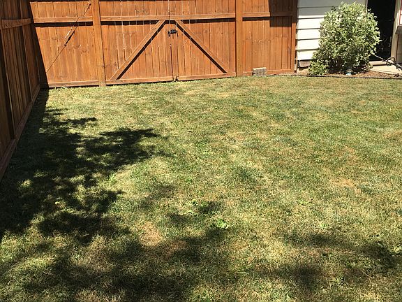 Double door to backyard