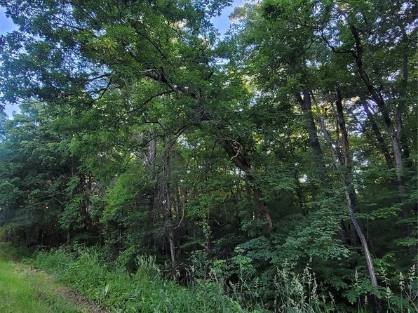 000  Lot 4 US Highway 12, Merrillan, WI 54754